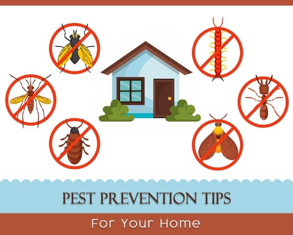 Top 10 Tips for Preventing Pest Infestations in Your Home