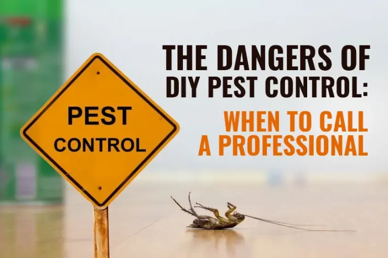 Understanding the Risks of DIY( Do it Yourself)  Pest Control